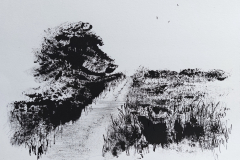 Carrie-Sanderson-Disturbing-The-Roosting-Jackdaws-29.8-x-21.1-cm-Unframed