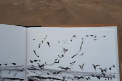 Feeding-Frenzy-Sketch-Carrie-Sanderson-Artist