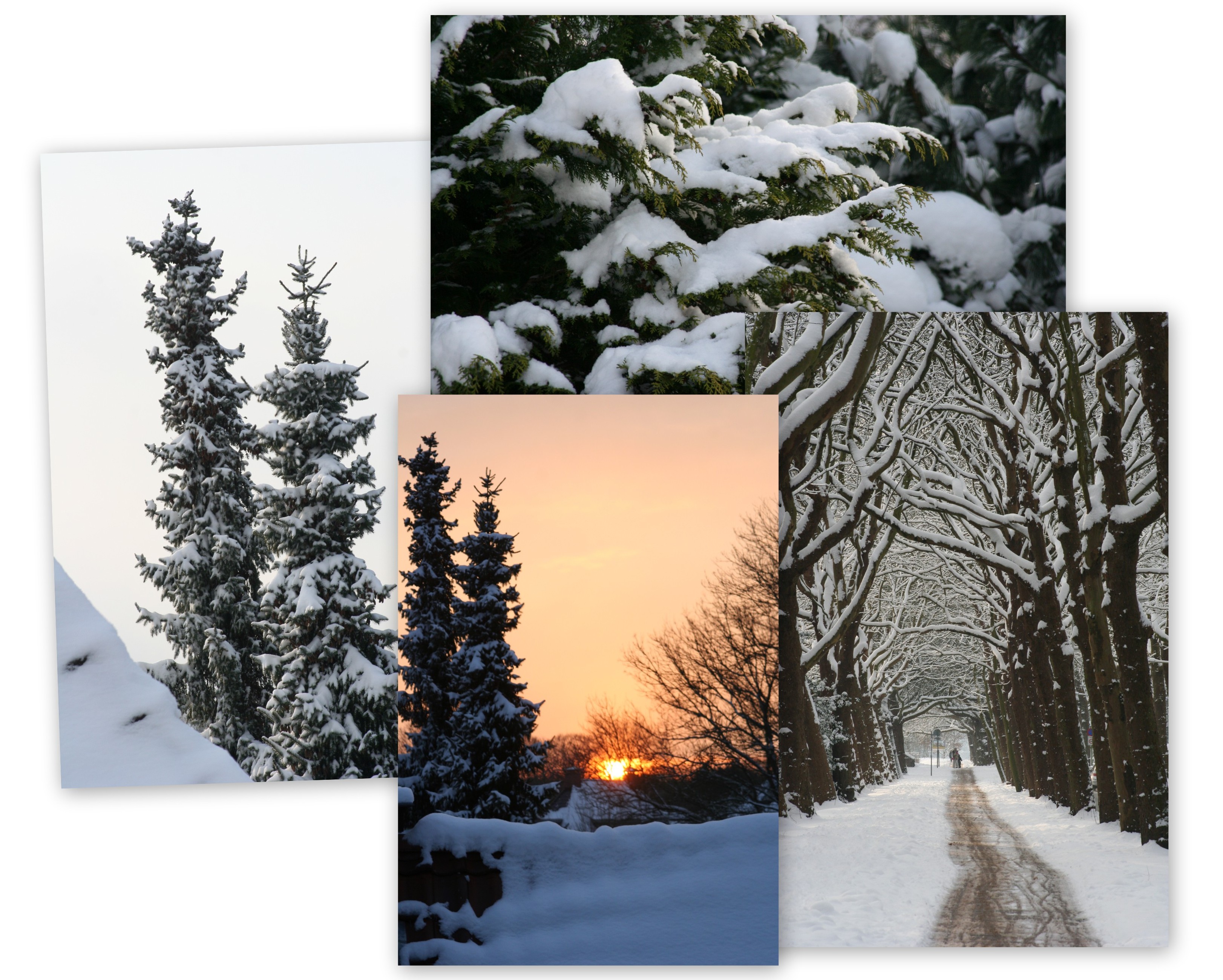 Snow picture collage