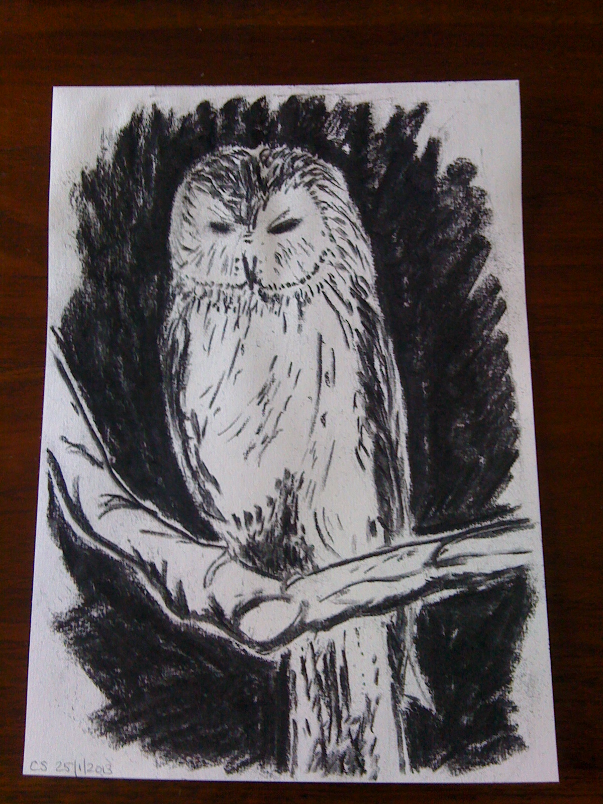Owl-icious