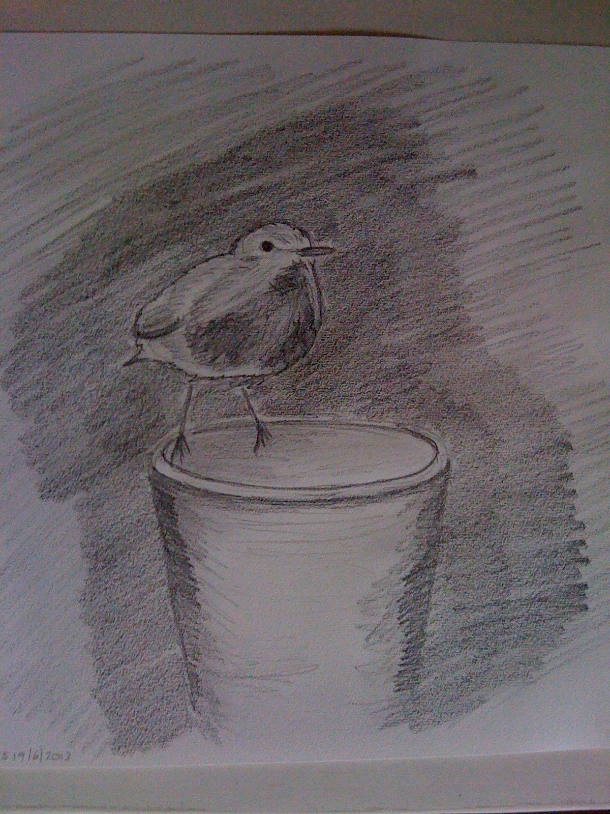 Robin on flower pot