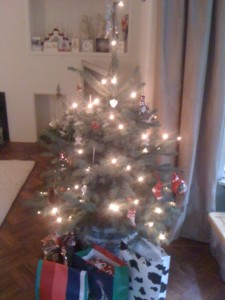 Christmas tree 2013