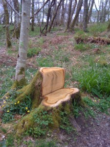 tree trunk or seat