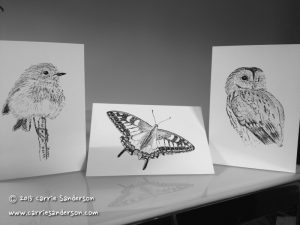 Greeting cards - robin, butterfly, owl