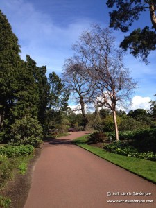 Mini-Adventure in Edinburgh's Botanical Gardens